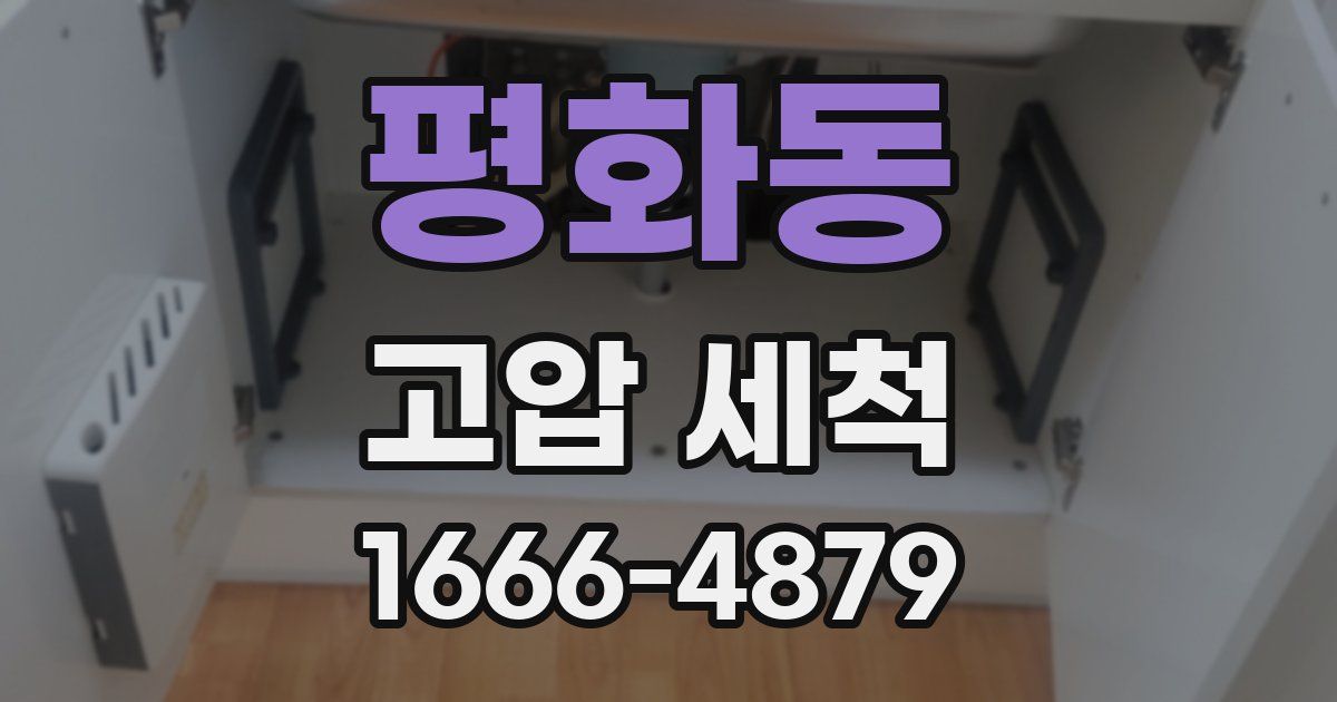 평화동 고압 세척