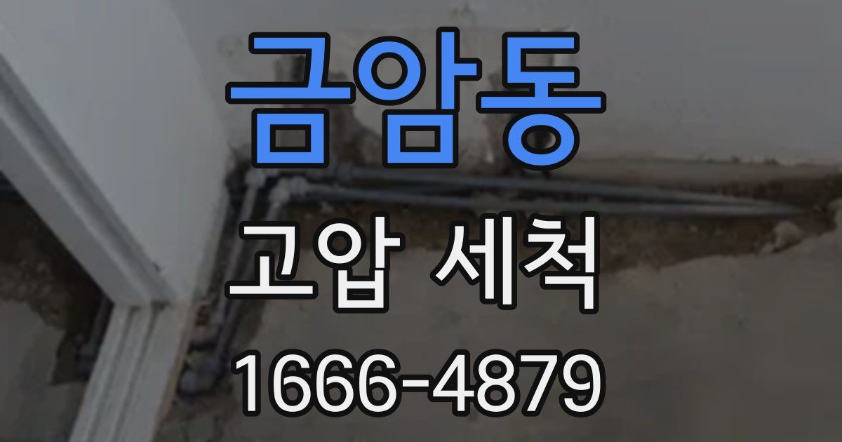 금암동 고압 세척