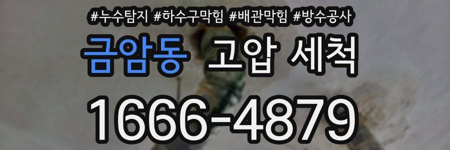 금암동 고압 세척