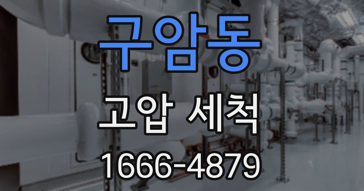 구암동 고압 세척