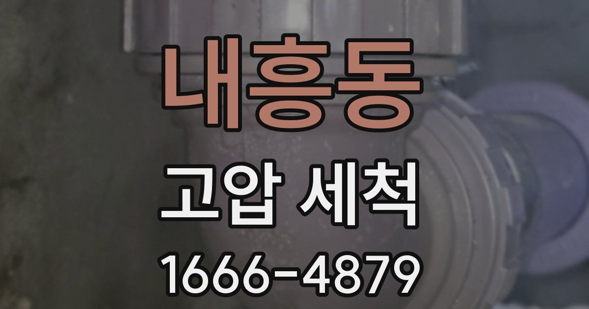 내흥동 고압 세척