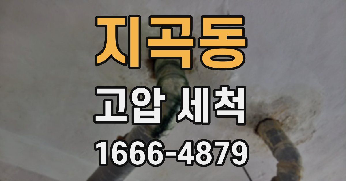 지곡동 고압 세척