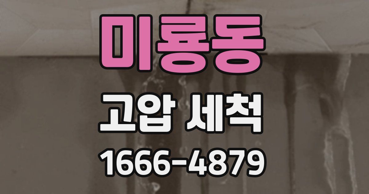 미룡동 고압 세척