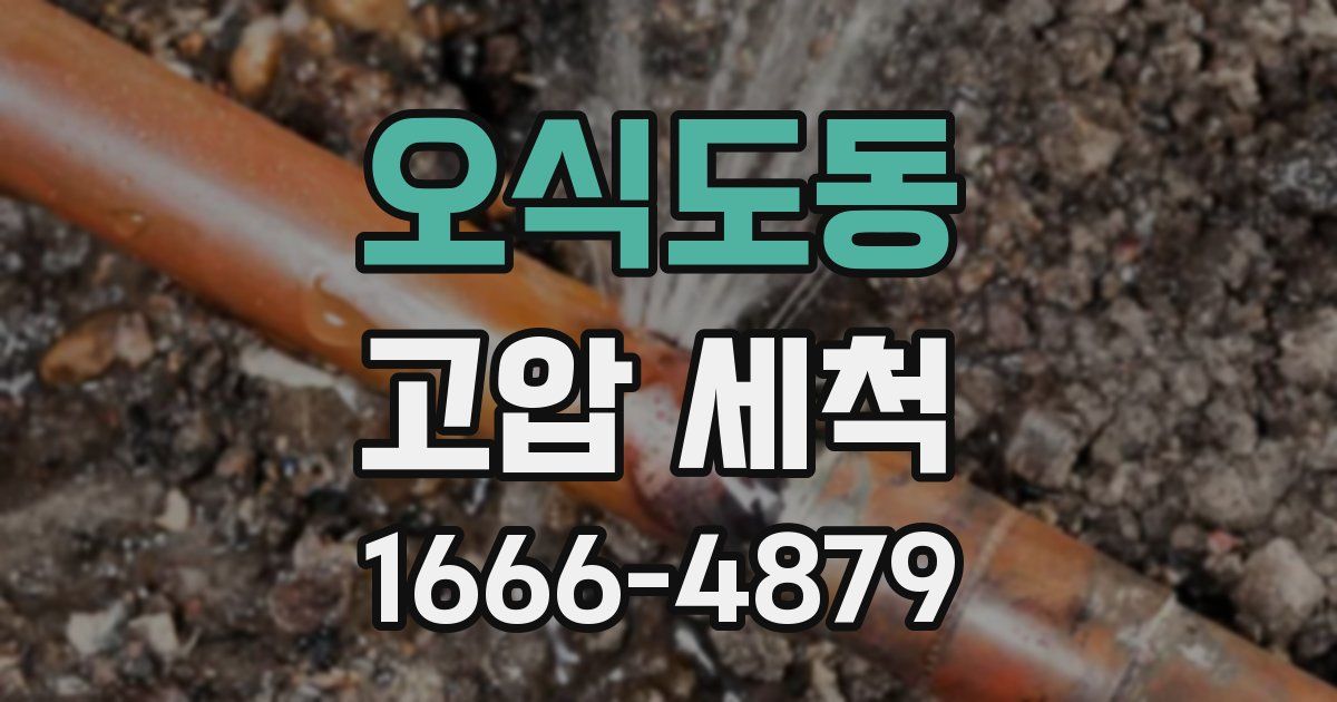 오식도동 고압 세척