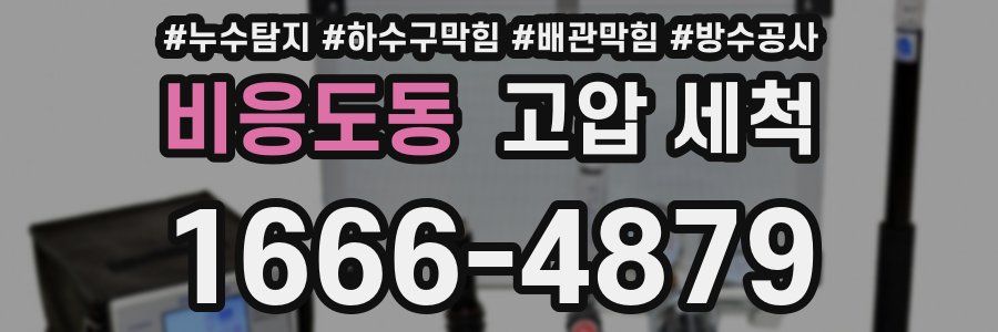 비응도동 고압 세척