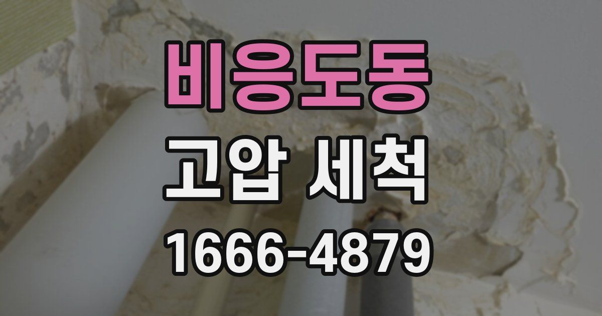 비응도동 고압 세척