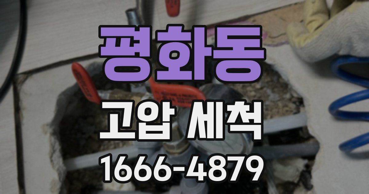 평화동 고압 세척