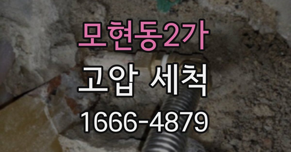 모현동2가 고압 세척