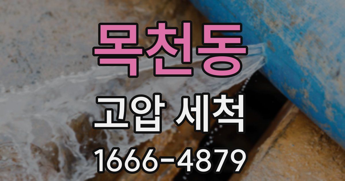 목천동 고압 세척