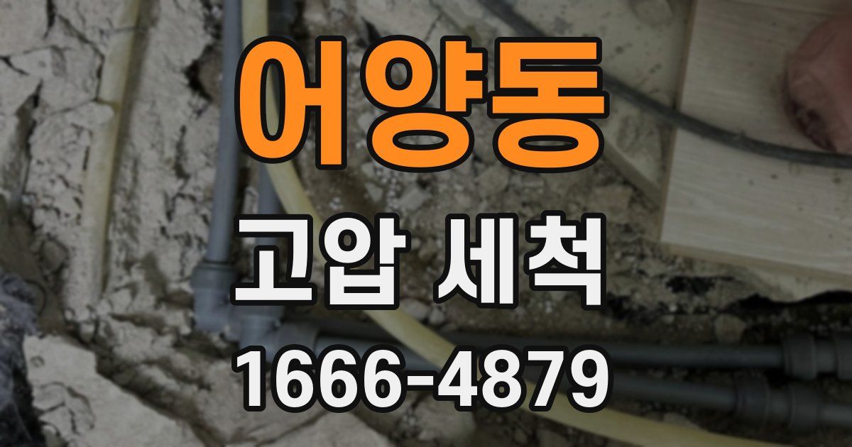 어양동 고압 세척