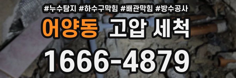 어양동 고압 세척