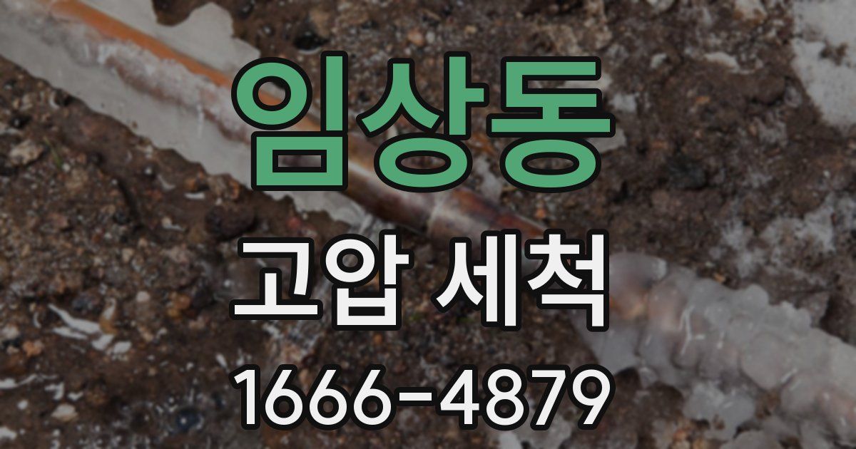 임상동 고압 세척