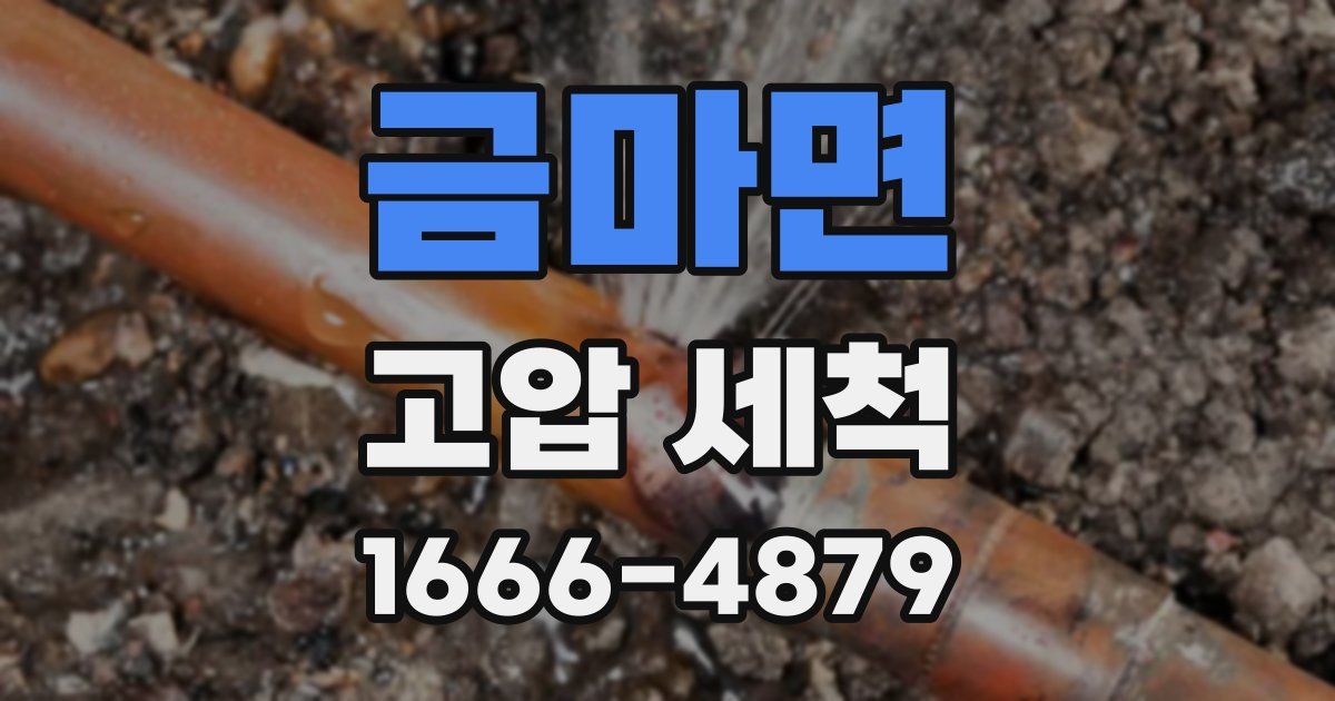 금마면 고압 세척