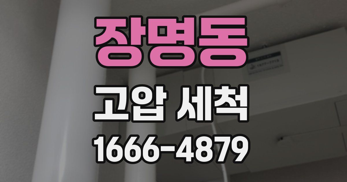 장명동 고압 세척
