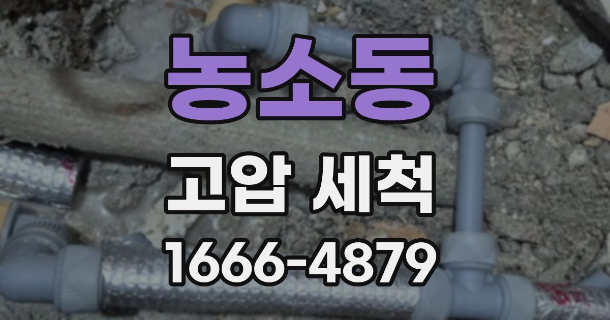 농소동 고압 세척