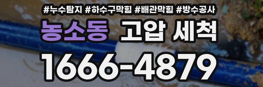 농소동 고압 세척