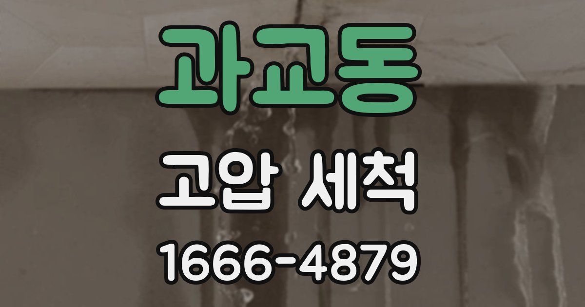 과교동 고압 세척