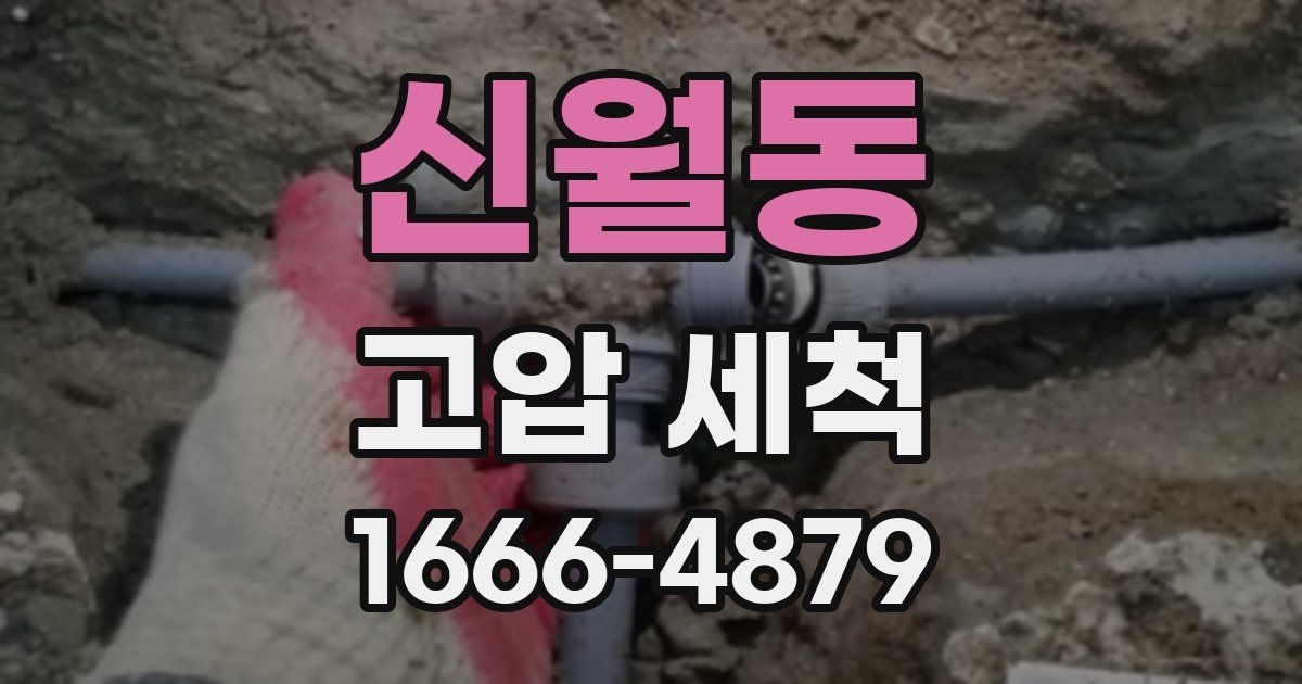 신월동 고압 세척