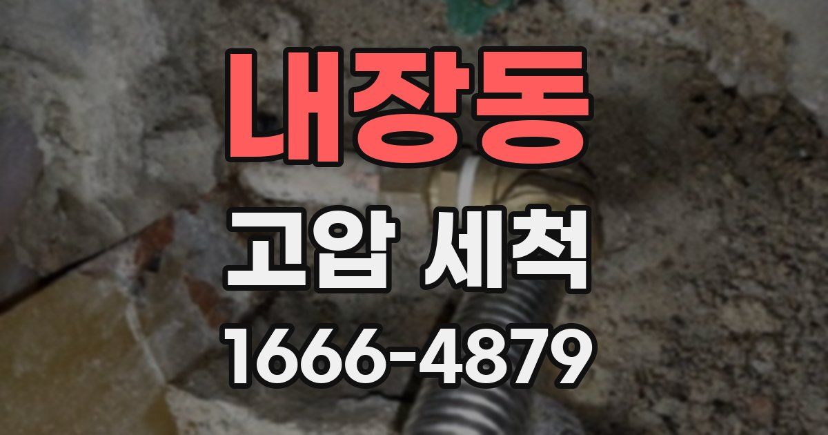 내장동 고압 세척