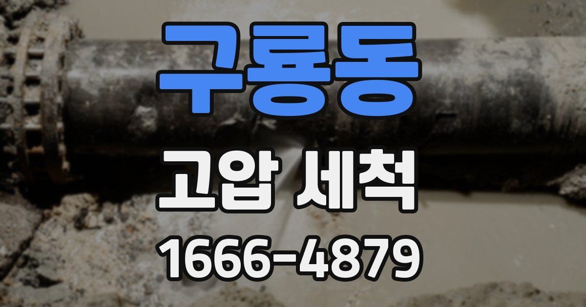구룡동 고압 세척
