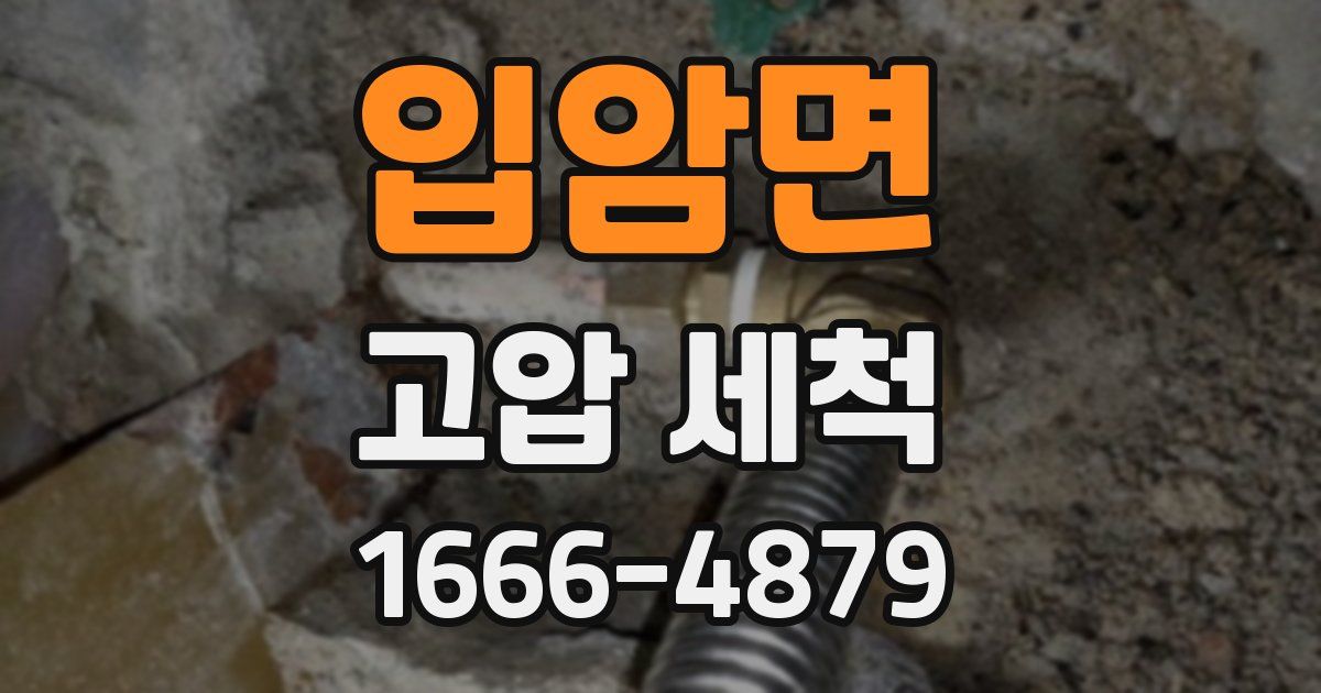입암면 고압 세척