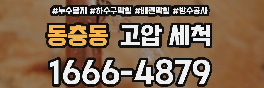 동충동 고압 세척