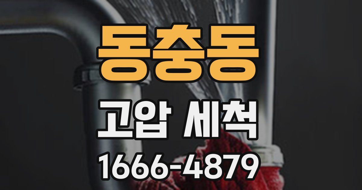 동충동 고압 세척