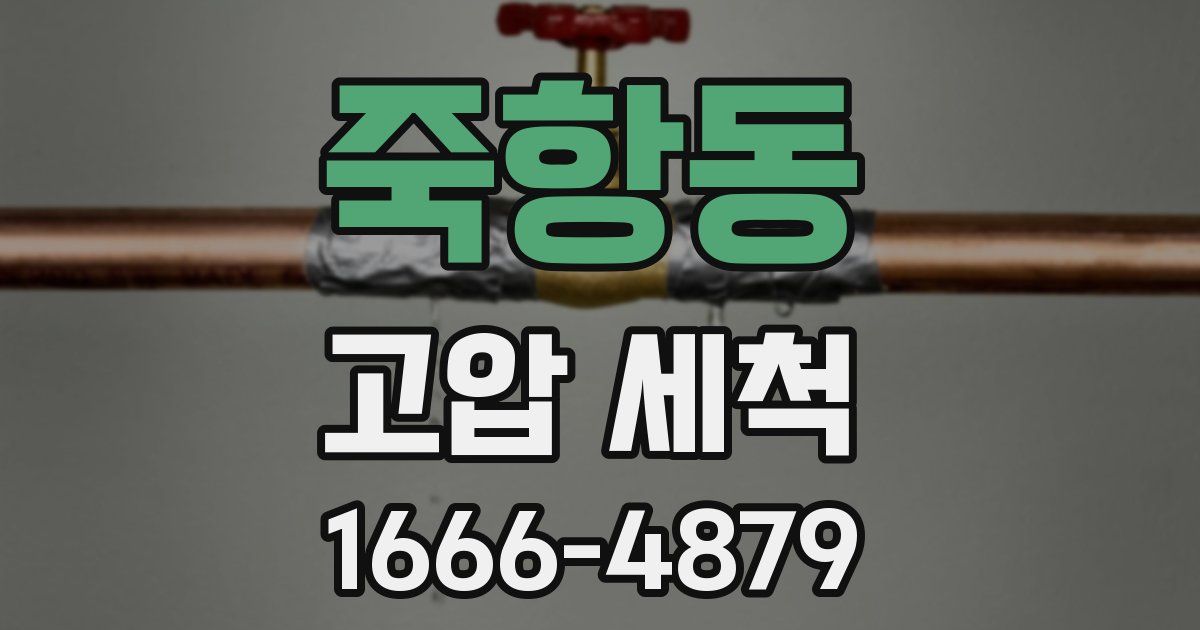 죽항동 고압 세척