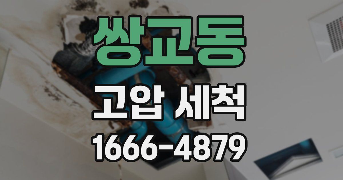 쌍교동 고압 세척