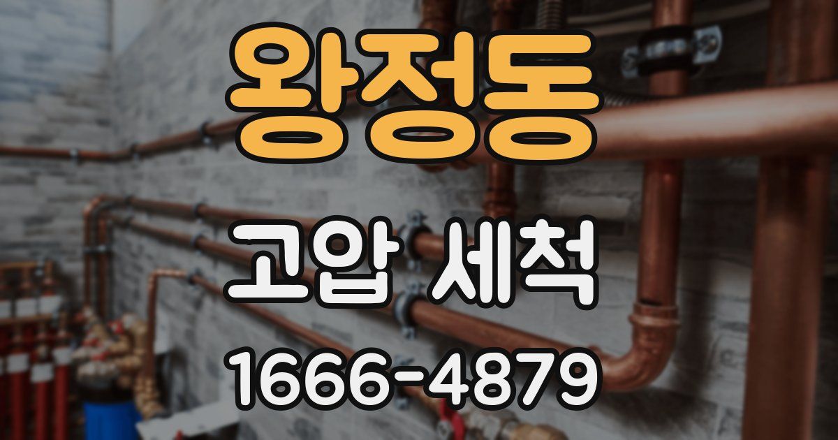 왕정동 고압 세척
