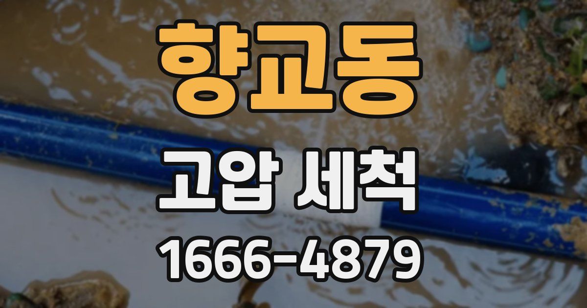 향교동 고압 세척