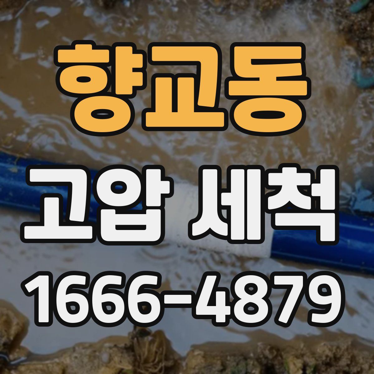 향교동 고압 세척