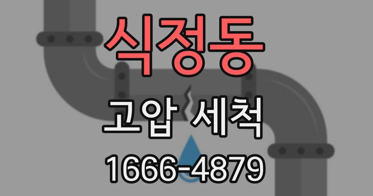 식정동 고압 세척