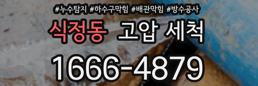 식정동 고압 세척