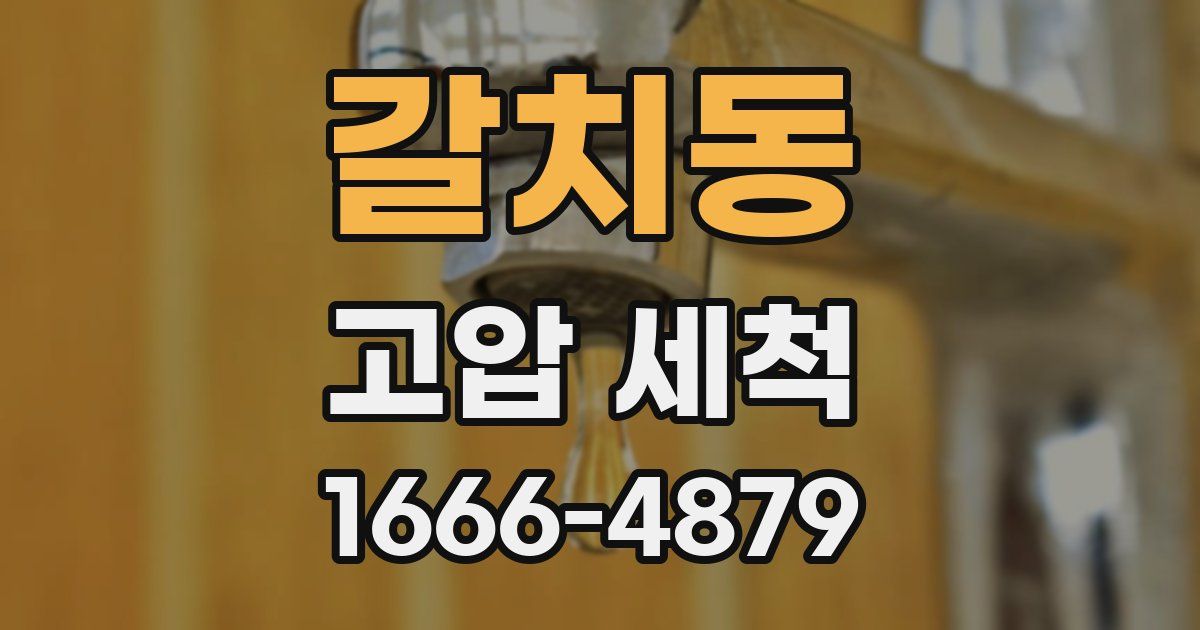 갈치동 고압 세척