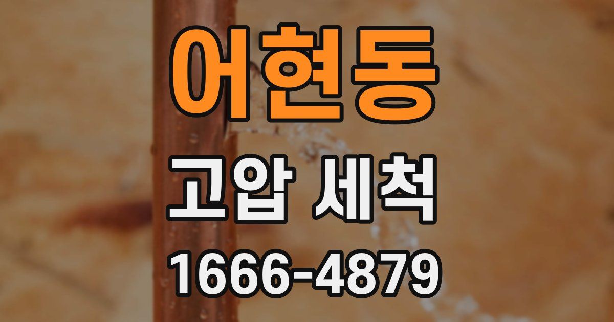 어현동 고압 세척