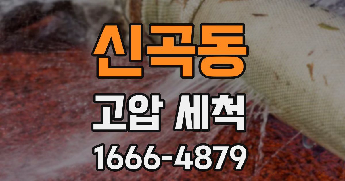 신곡동 고압 세척