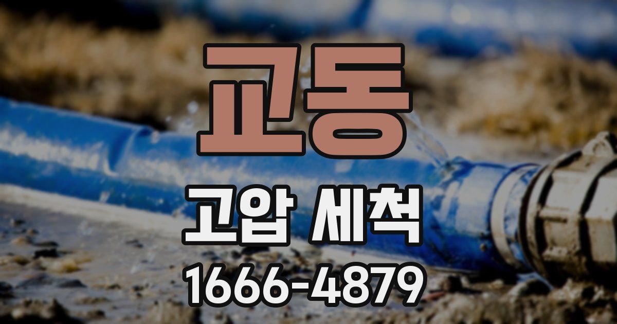 교동 고압 세척
