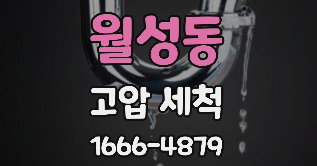 월성동 고압 세척