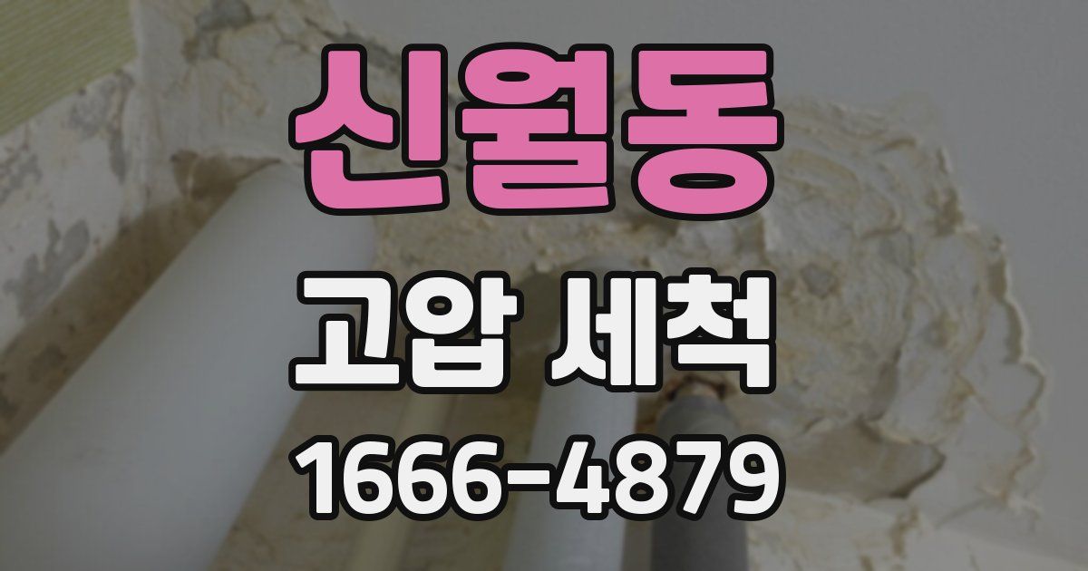 신월동 고압 세척