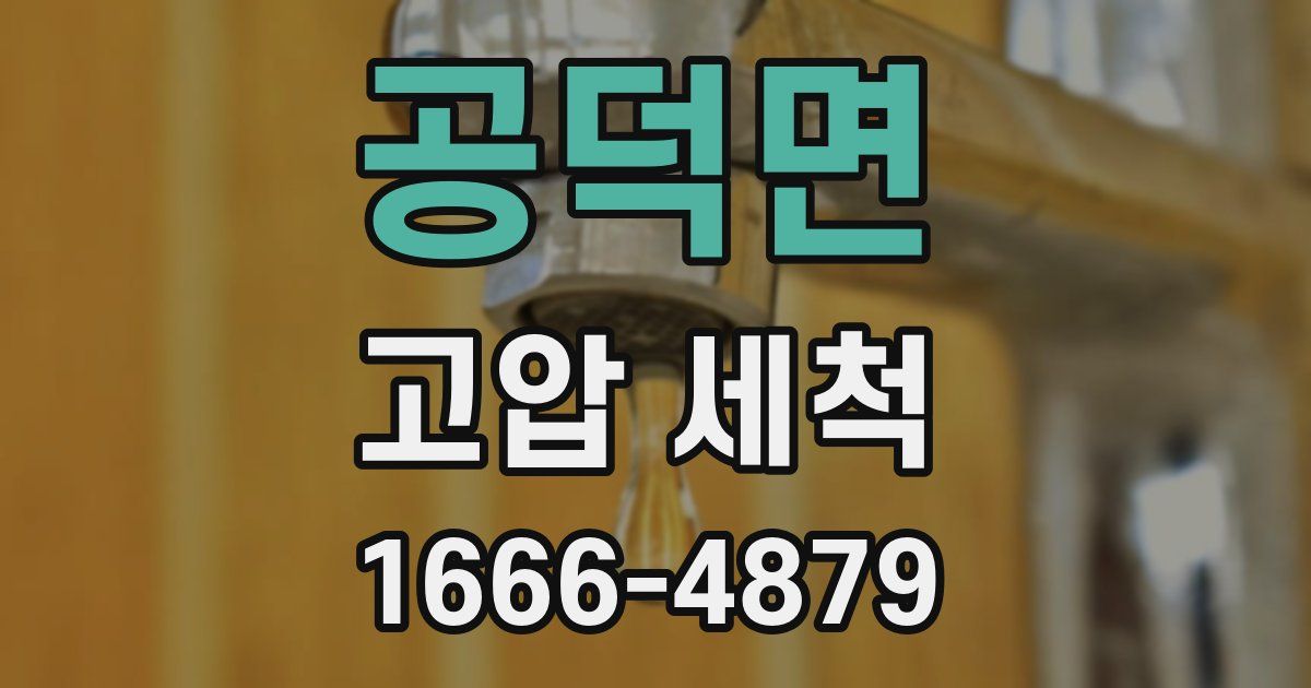 공덕면 고압 세척