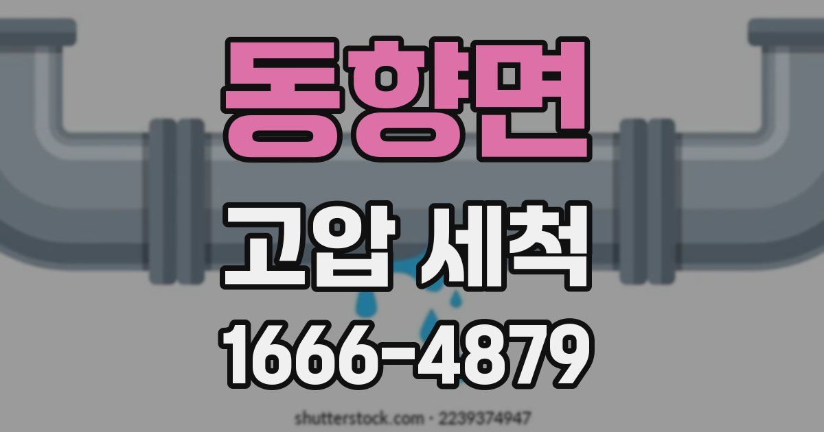 동향면 고압 세척