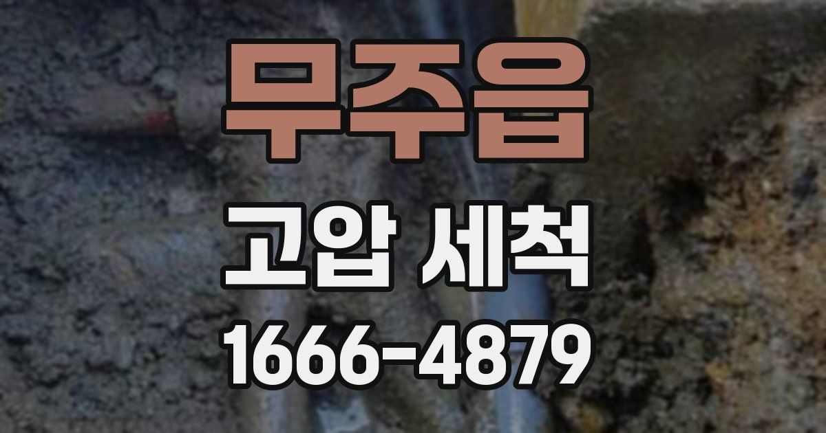 무주읍 고압 세척