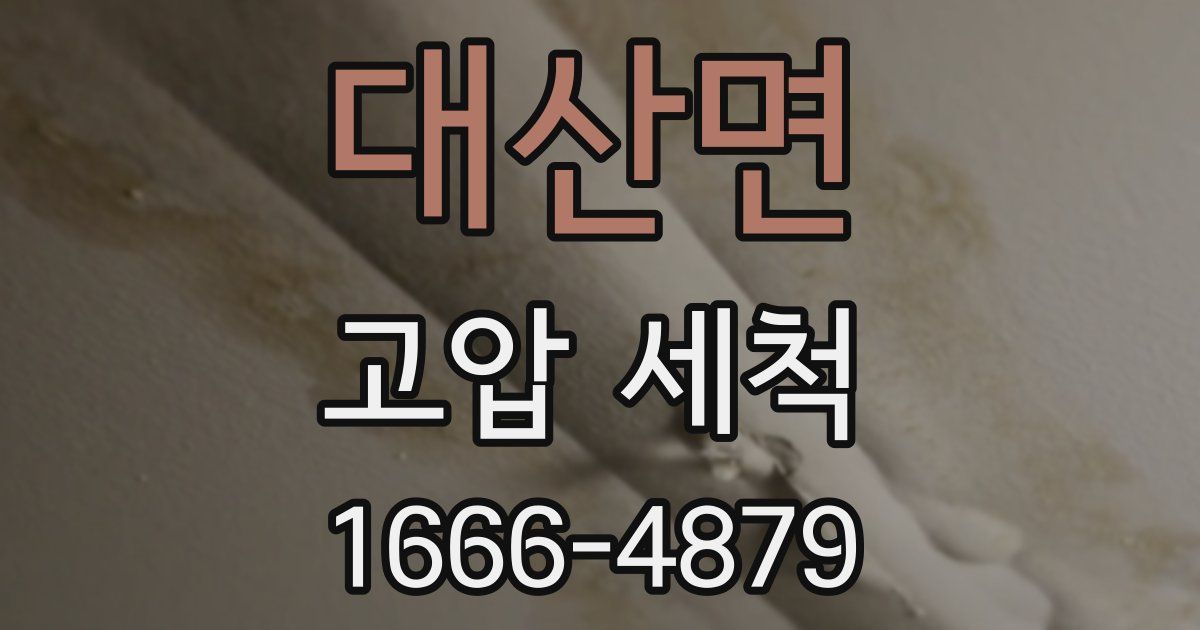 대산면 고압 세척