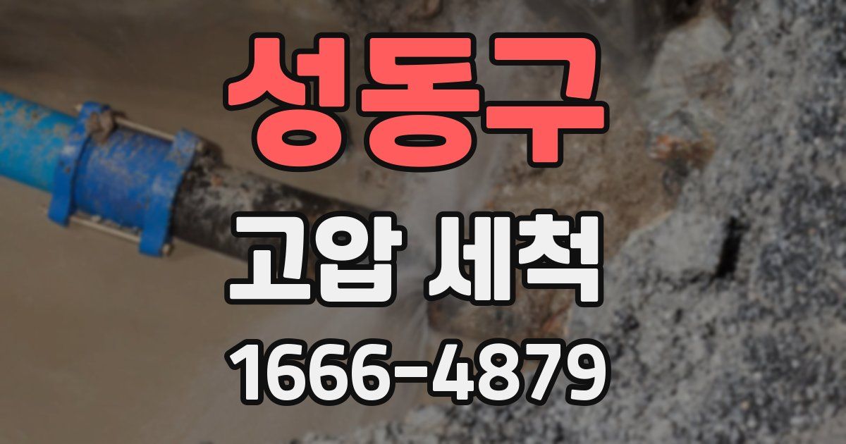 성동구 고압 세척