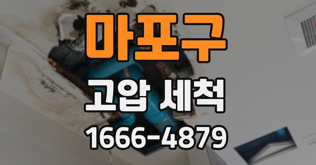마포구 고압 세척