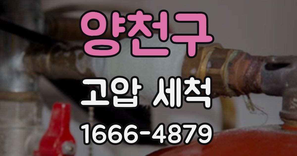 양천구 고압 세척