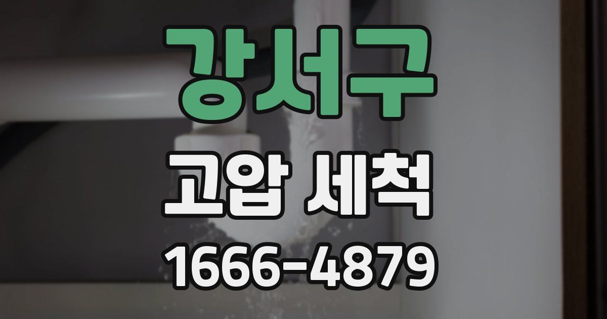 강서구 고압 세척