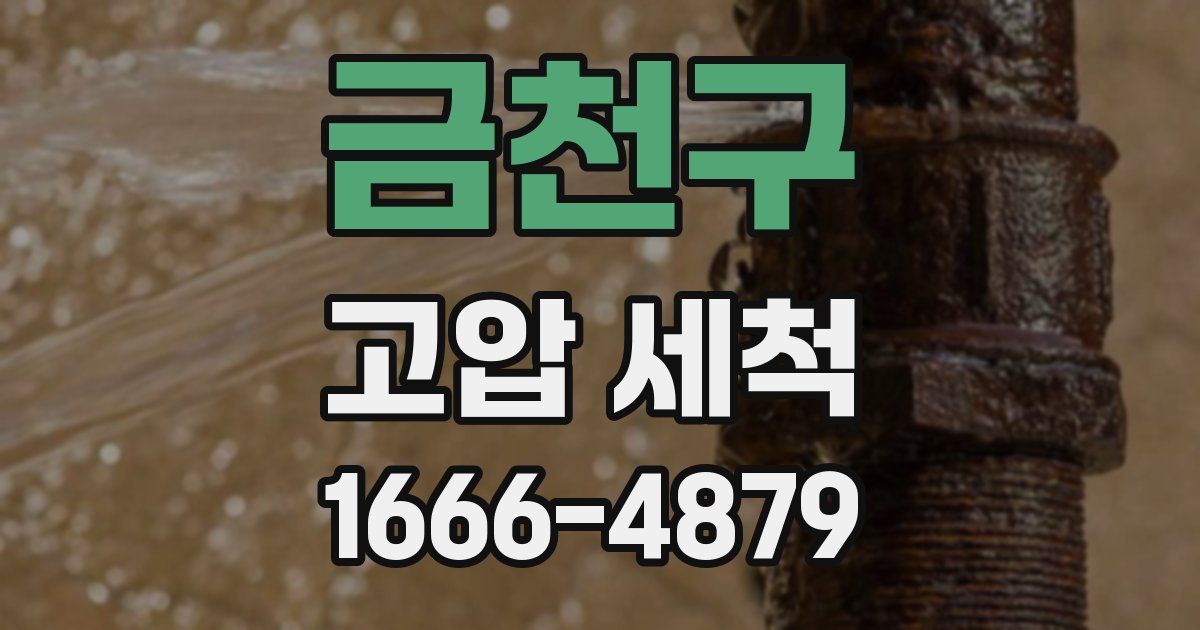 금천구 고압 세척