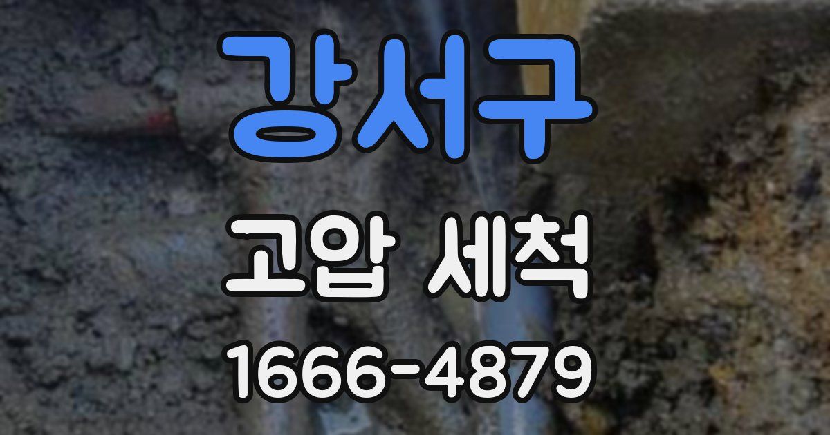 강서구 고압 세척